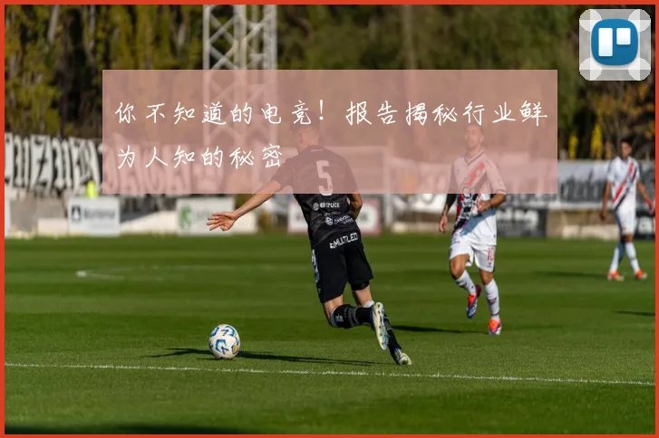 你不知道的电竞！报告揭秘行业鲜为人知的秘密